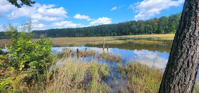 Sams Lake Bird Sanctuary - Image 1