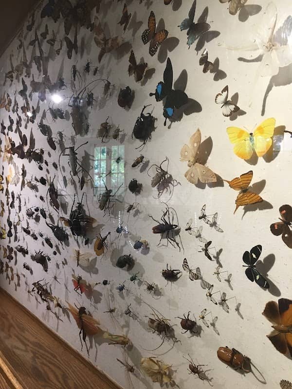 K-State Insect Zoo - Image 2