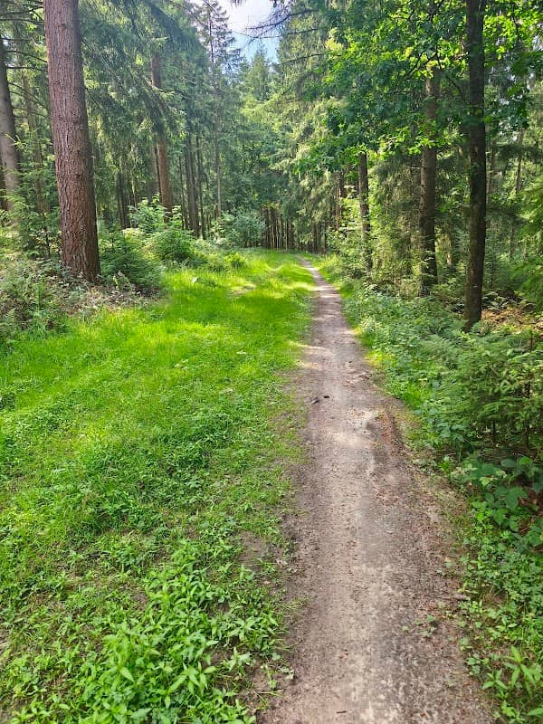 Weg durch die Felsen - Image 2