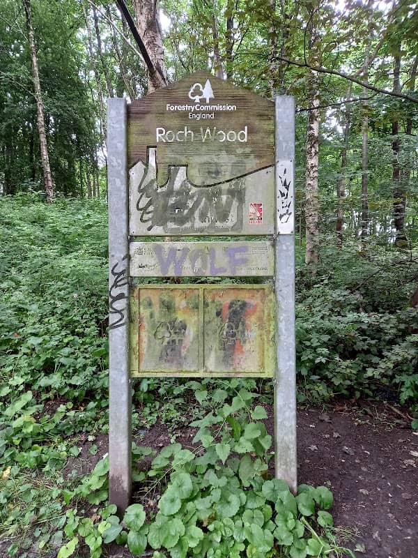 Roch Wood Nature Park - Image 2