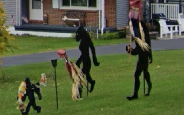 The Bigfoot Fam - Image 1