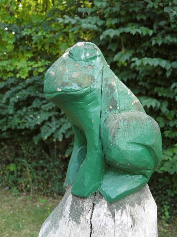 Holzfrosch - Image 1