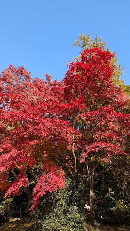 Yoshinosawa Park - Image 1