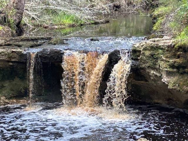 Falling Creek Falls - Image 1