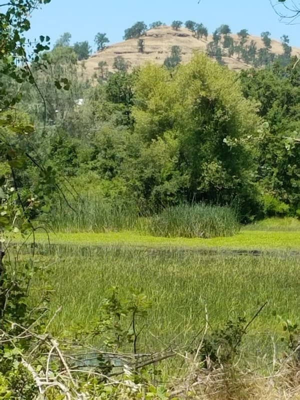 Butte College Wildlife Refuge - Image 1