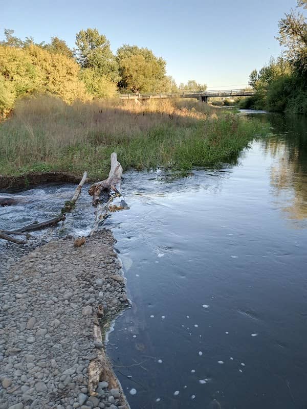 Umatilla River Bridge on Stanfield Meadows road - Image 2