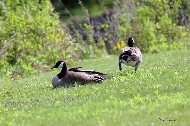 Riverfront Park - Image 1