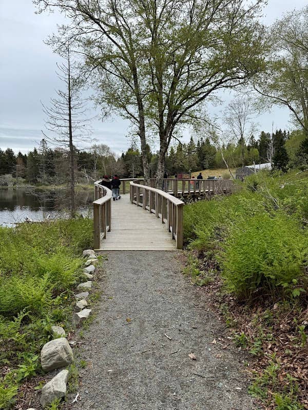 Medicine Trail - Image 2