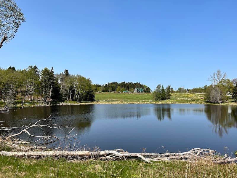 Medicine Trail - Image 1