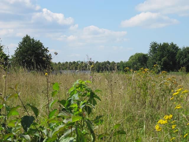 Flugplatzheide in Haunstetten - Image 1