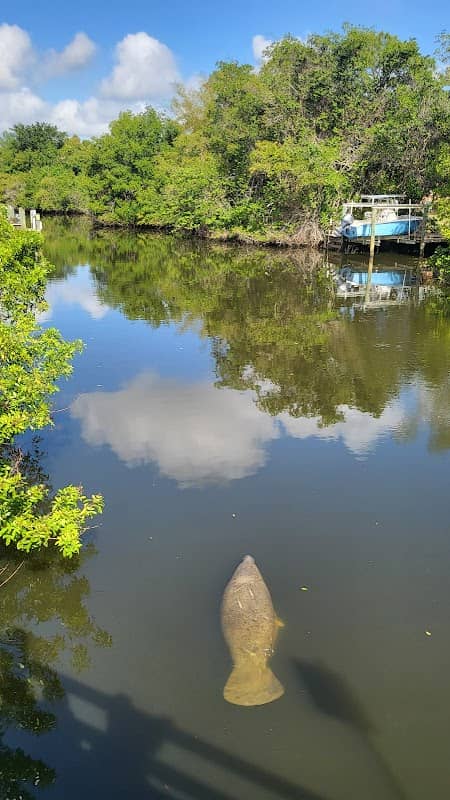 Manatee Bridge - Image 1