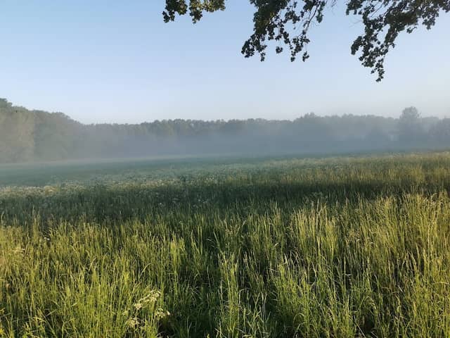 Lake Machnow - Image 1