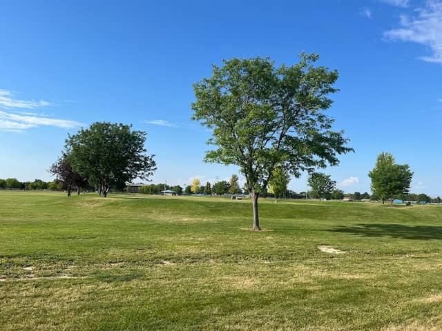 Sister's Park - Image 2