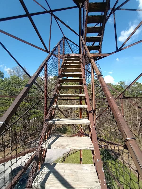 Trigg Observation Tower - Image 3