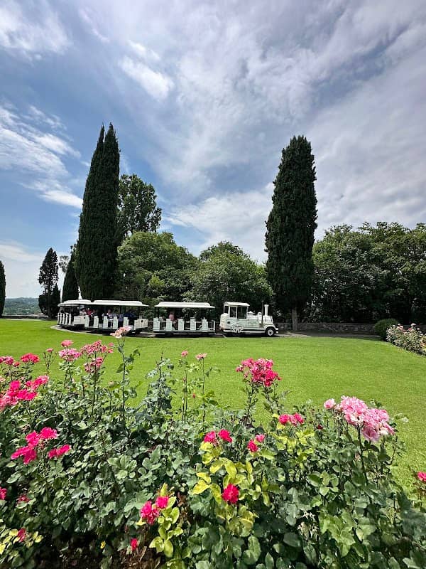 Viale delle Rose - Image 3