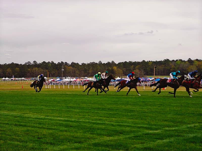 The Carolina Cup - Image 1