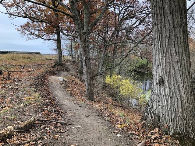Demille Bowl, Mountain Bike / Multi-use Trail - Image 2