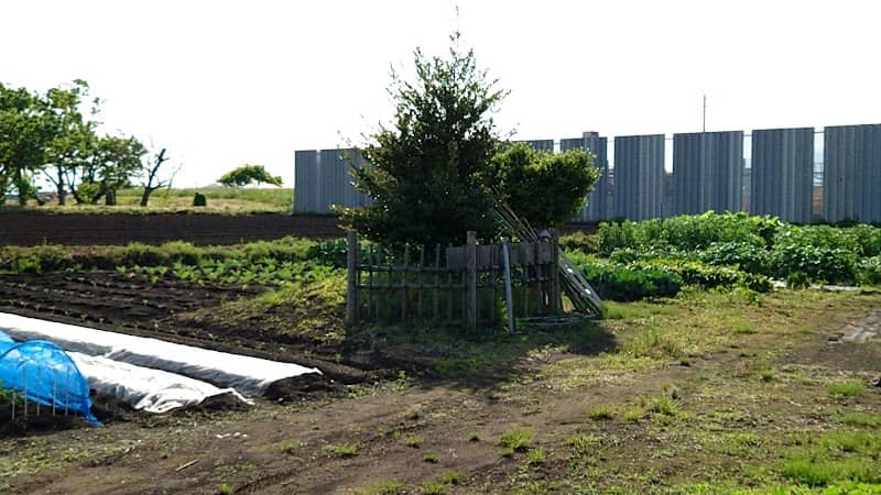 Sunafurui Mound - Image 2