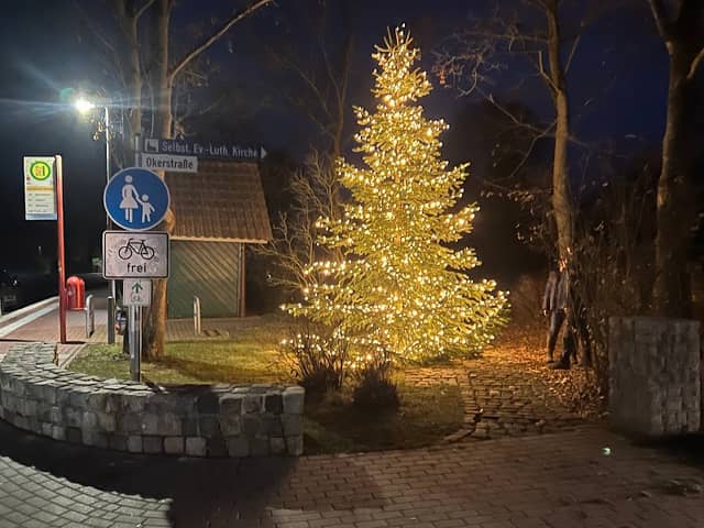 Weihnachtsbaum Seershausen - Image 1