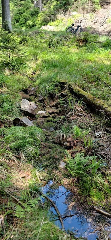 Haidetränke Hang- und Schichtquelle Vordertaunus - Image 1