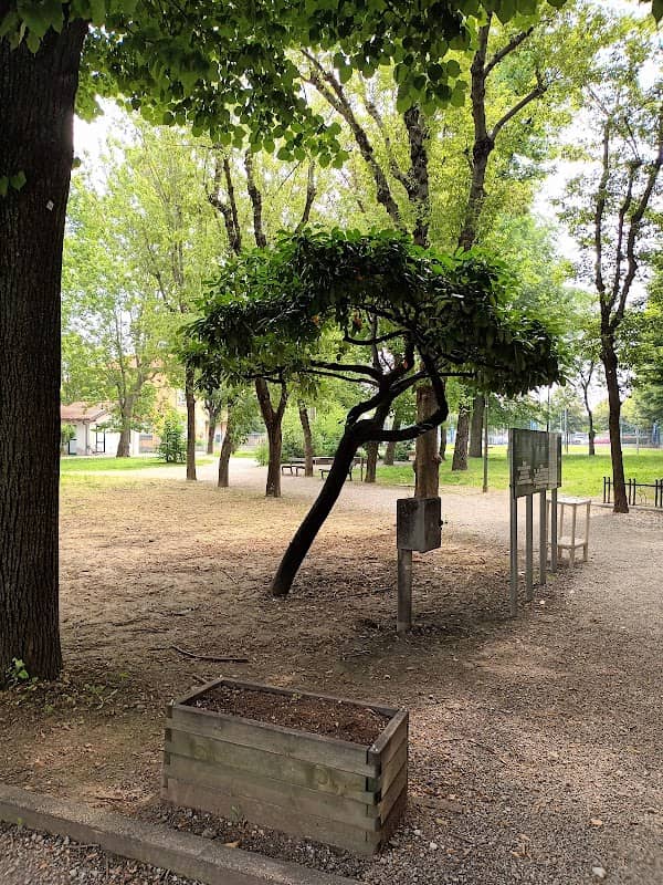 Parco Cittadino - Image 1