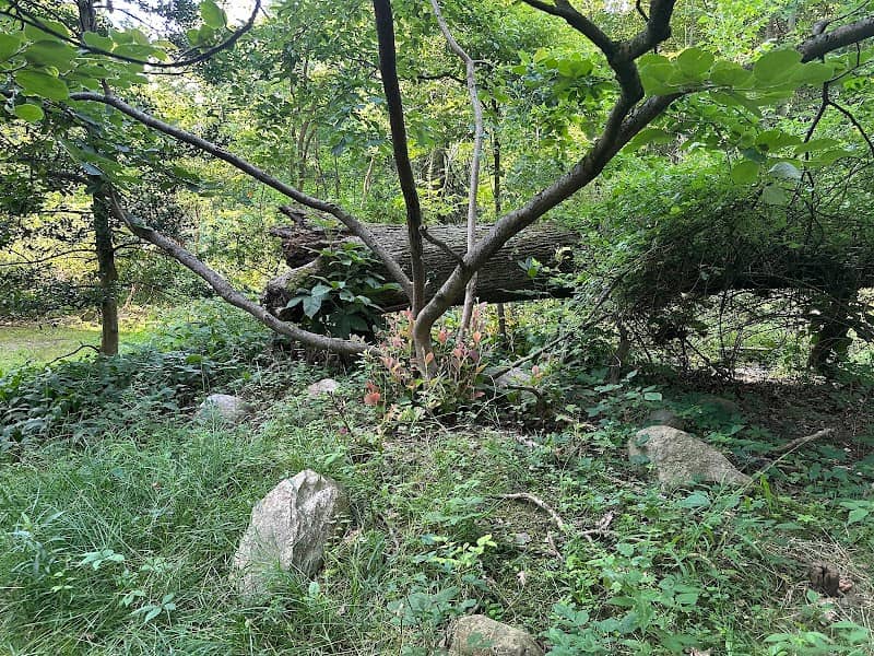 Stow Arboretum - Image 1