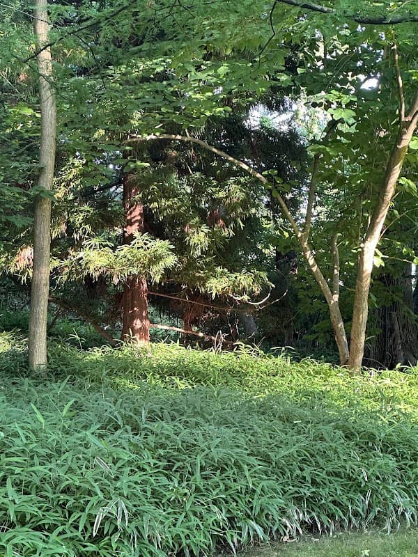 Stow Arboretum - Image 2
