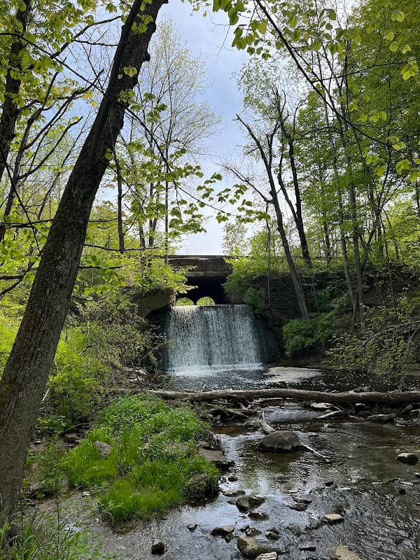 Bentley Bond’s Trailhead bear Second Creek - Image 2