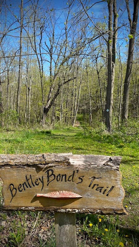 Bentley Bond’s Trailhead bear Second Creek - Image 1