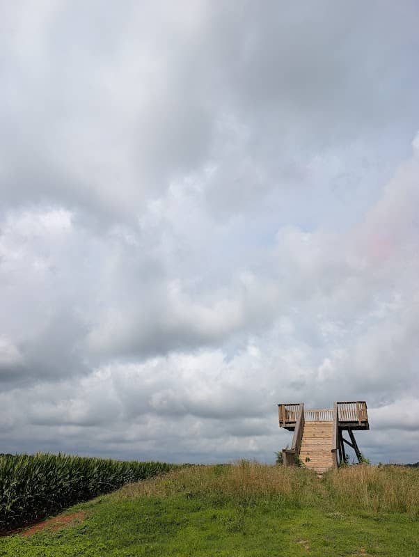 Wildlife observation deck - Image 1