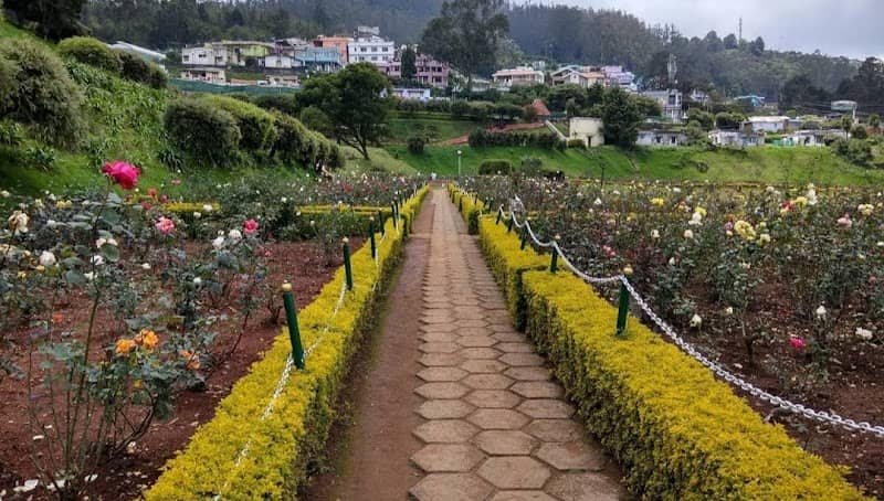 Government Rose Garden - Image 3