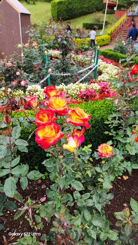 Government Rose Garden - Image 2