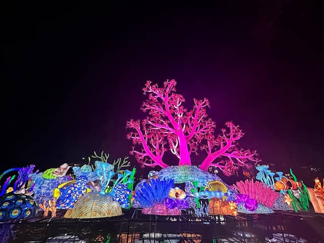 North Carolina Chinese Lantern Festival - Image 2