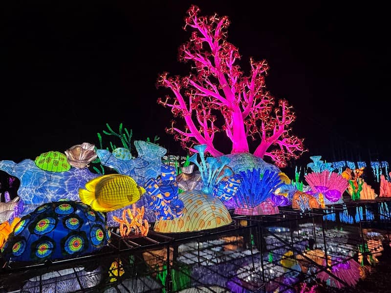 North Carolina Chinese Lantern Festival - Image 3