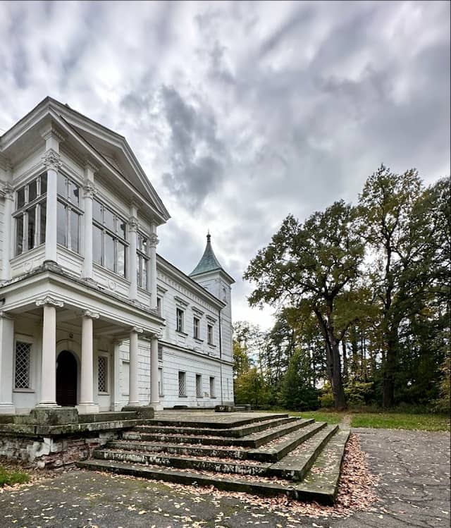 Pomnik Przyrody - Dąb Szypułkowy - Image 1