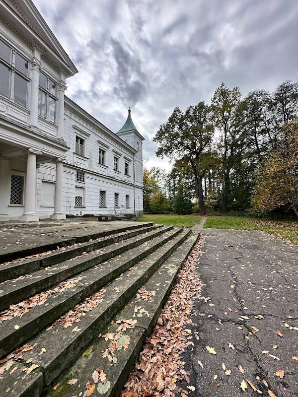 Pomnik Przyrody - Dąb Szypułkowy - Image 2