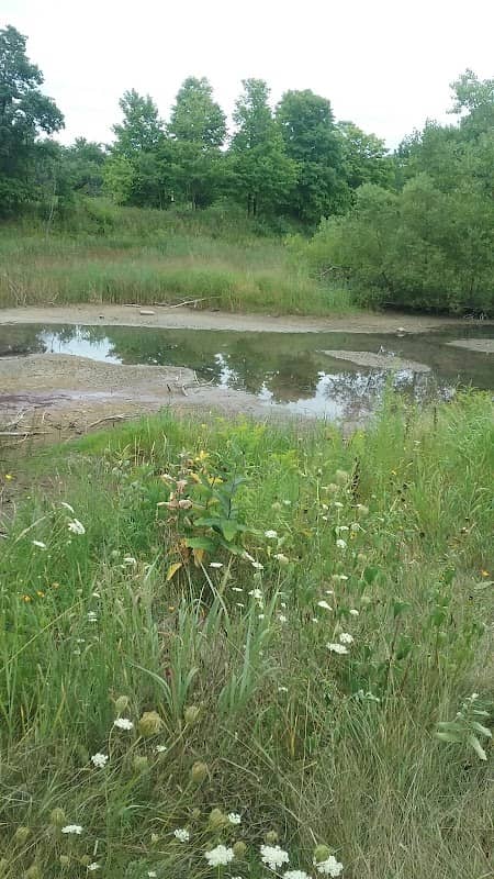 Rawson Park - Image 2