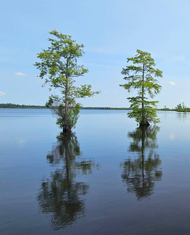 Lake Drummond Reflection Pier - Image 1