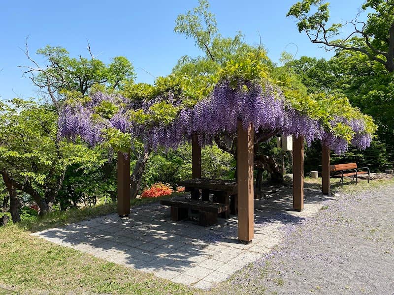 Otaru Park - Image 2