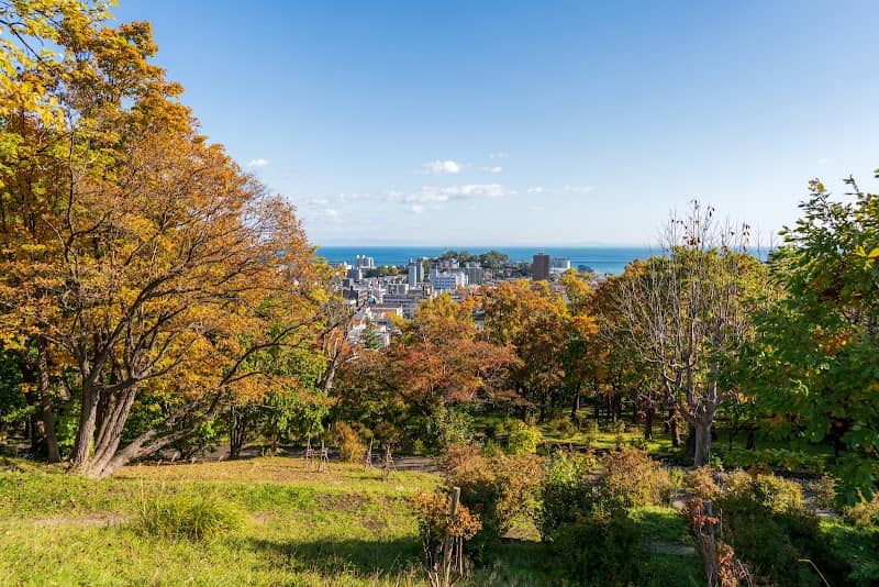 Otaru Park - Image 1
