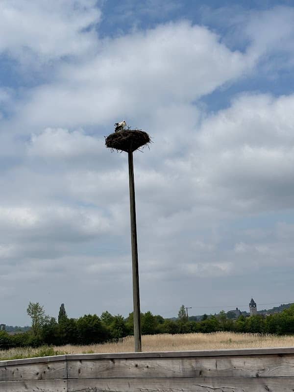 Storchennest - Image 2