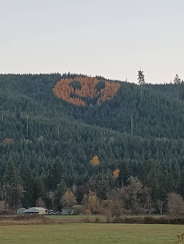 Hampton Lumber Smiley Face Safe Roadside Viewpoint - Image 1