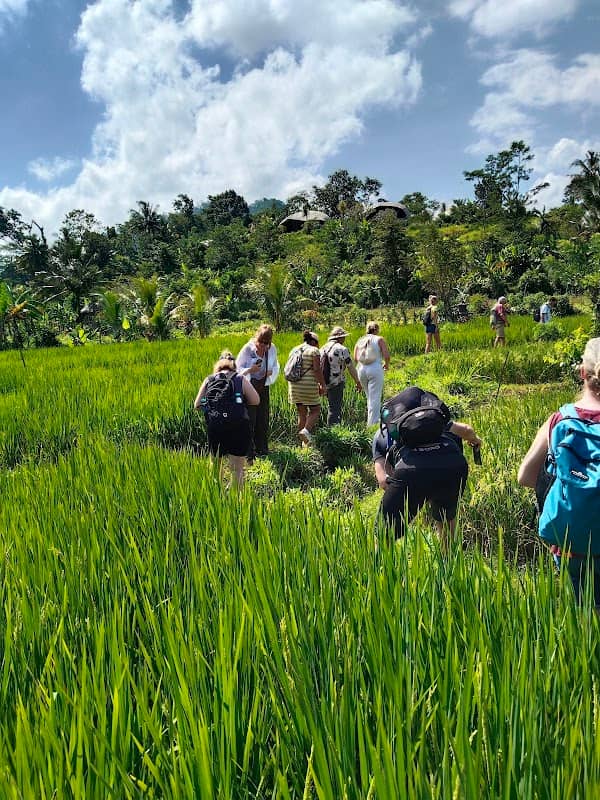 Bali Voyager Tour - Image 1