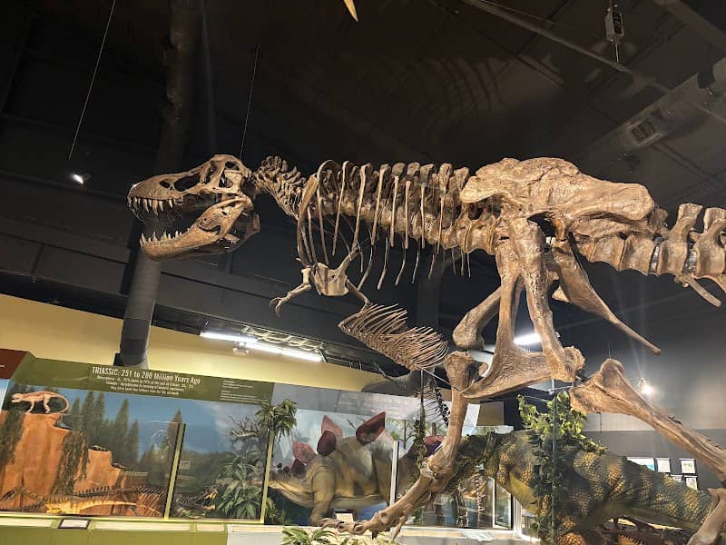 Naranjo Museum-Natural History - Image 1