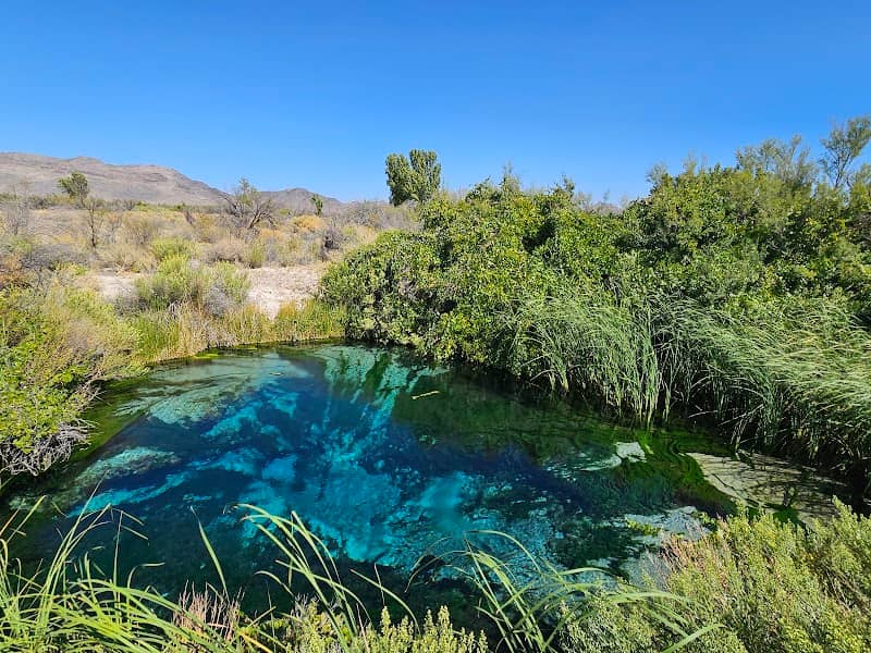 Ash Meadows National Wildlife Refuge - Image 3