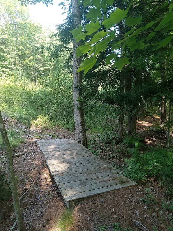 Sebago to the Sea Trail Section 5 - Image 1