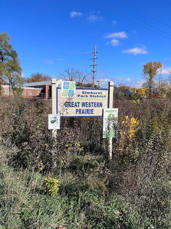 Keith A. Olson Prairie - Image 1
