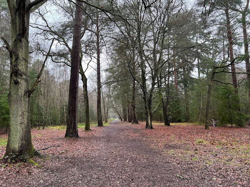 Hartland Country Park - Image 2