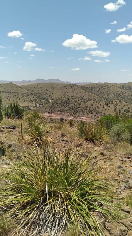 Limpia Creek Vista - Image 3