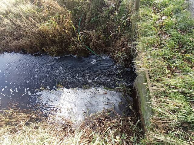 Kleines Pumpwerk am Delftstrom - Image 2
